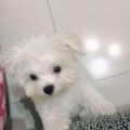 小苗苗